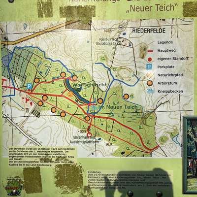 Hundeauslaufgebiet-Wald am Neuen Teich-Bild