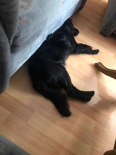 Unruhe reduzieren-Beitrag-Bild