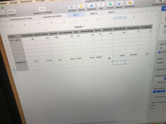 Größe und Gewicht berechnen?-Beitrag-Bild