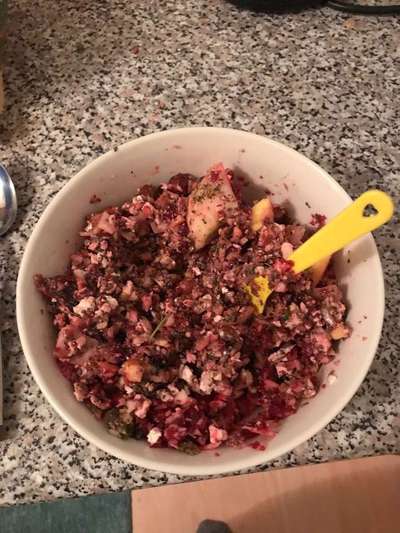 Vegane Snacks für Mensch und Hund-Beitrag-Bild