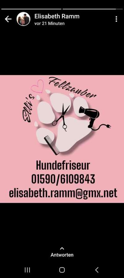 Mobiler Hundefriseur-Beitrag-Bild