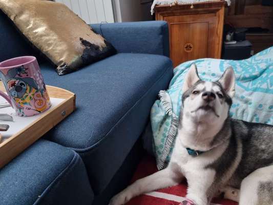 Her mit dem Grimassen-Beitrag-Bild