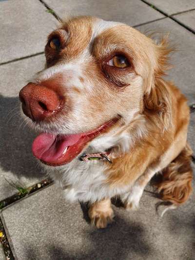 Fotochallange 84-Beitrag-Bild