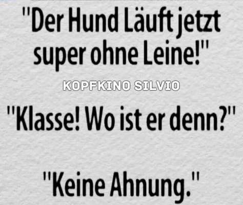 Hunde Memes-Beitrag-Bild