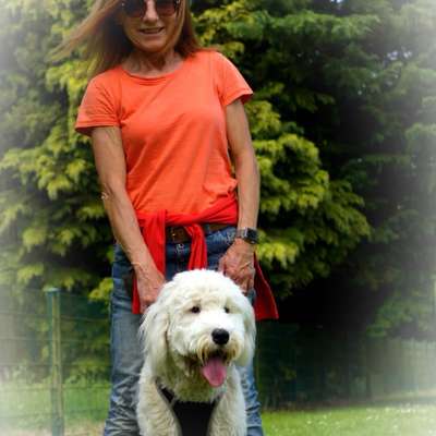 Hundetreffen-Hundespaziergang-Profilbild