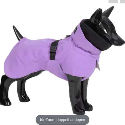 Ich suche Hunde Winterjacke der Marke Paikka.-Beitrag-Bild