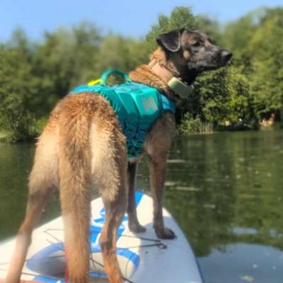 Passform Schwimmweste-Beitrag-Bild
