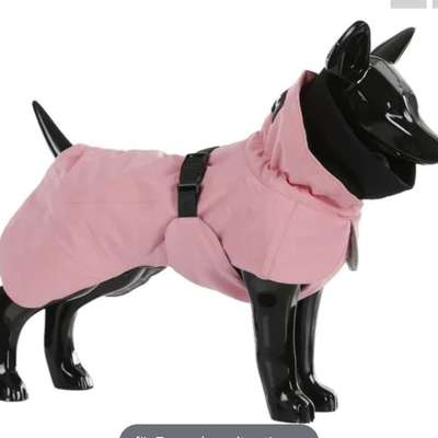 Ich suche Hunde Winterjacke der Marke Paikka.-Beitrag-Bild