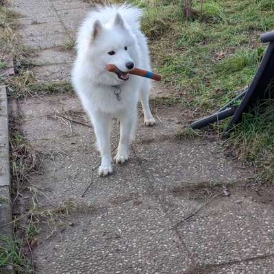 Suchmeldung-Nala-Bild