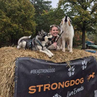 Hundetreffen-Laufpartner gesucht-Bild