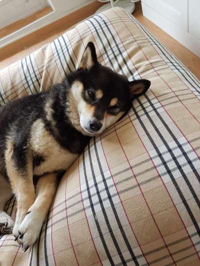 Lieblingsbild :D-Beitrag-Bild