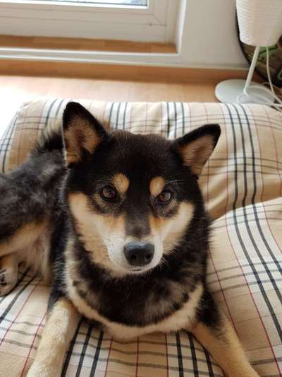 Lieblingsbild :D-Beitrag-Bild