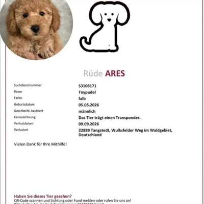 Suchmeldung-Ares-Bild