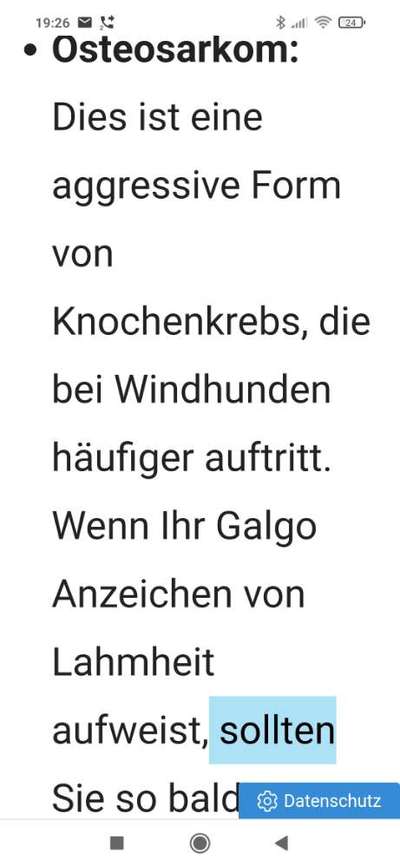 Welche Rasse kann man noch mit guten Gewissen kaufen?-Beitrag-Bild