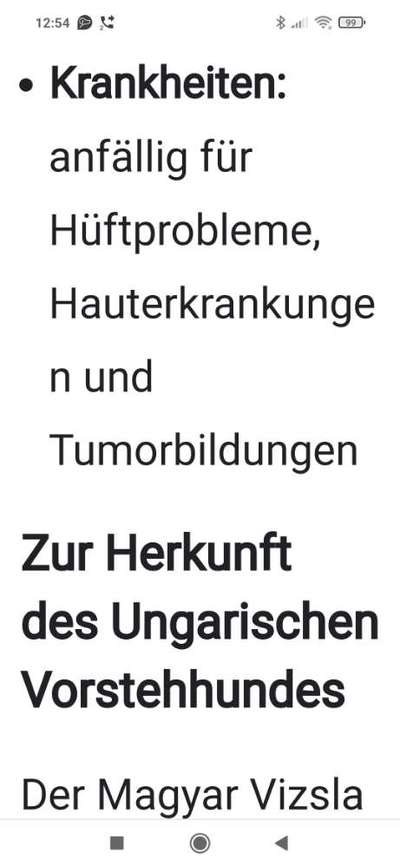 Welche Rasse kann man noch mit guten Gewissen kaufen?-Beitrag-Bild