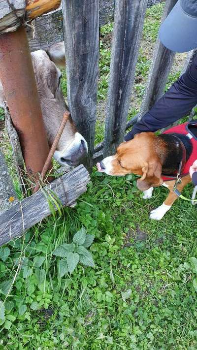 18. Handy - Foto - Challenge-Beitrag-Bild