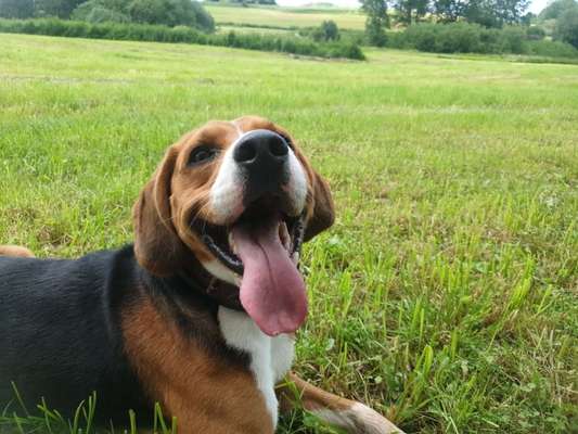 Handyfoto challenge Nr. 13: Waschlappen raus!-Beitrag-Bild