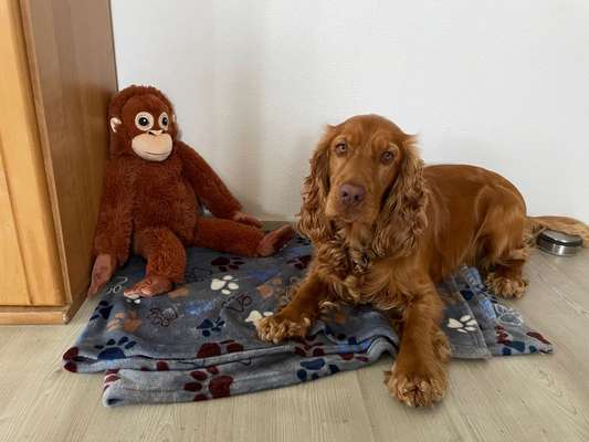 Doppelgänger gesucht !-Beitrag-Bild