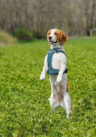 Fotochallenge 78

Es grünt und blüht-Beitrag-Bild