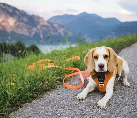 Fotochallenge Nr.100 Urlaubsimpressionen-Beitrag-Bild