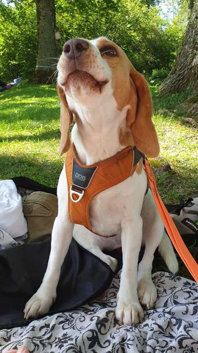 Foto-Challange No.1 - Alles aber nicht die Kamera-Beitrag-Bild