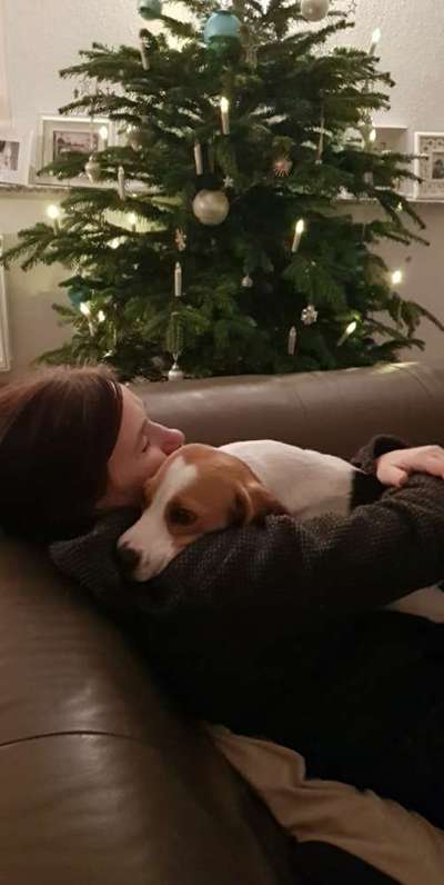 FOTOCHALLENGE NR.54-,,Liebesbeweis"-Beitrag-Bild