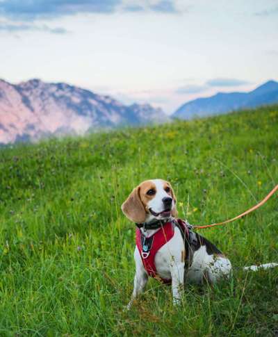 Fotochallenge Nr 107-Beitrag-Bild