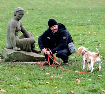 Dogorama Photo Challenge - Zufallsfund beim Gassi-Beitrag-Bild