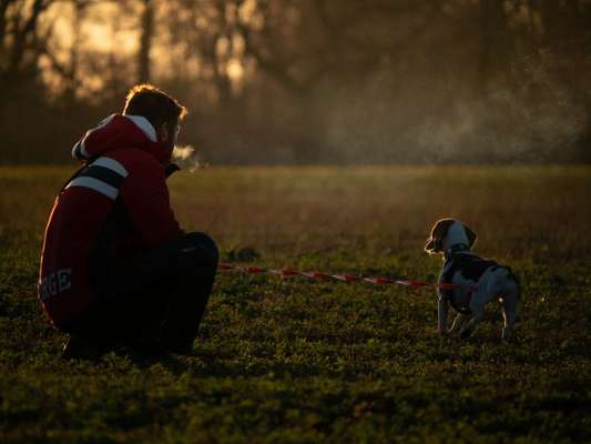 Dogorama Foto Challenge - Dämmerung-Beitrag-Bild