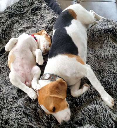 Foto Challange Nr.80-Beitrag-Bild