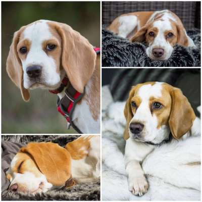 23. Collagen-Challenge: Portraits-Beitrag-Bild