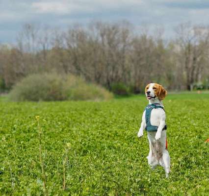 FOTOCHALLENGE 86-Beitrag-Bild