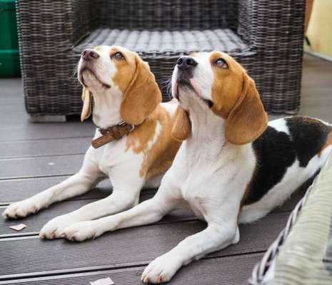 Lieblingsbild :D-Beitrag-Bild