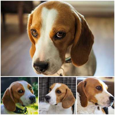 23. Collagen-Challenge: Portraits-Beitrag-Bild