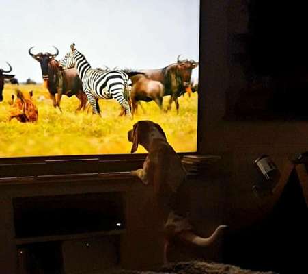 18. Handy - Foto - Challenge-Beitrag-Bild