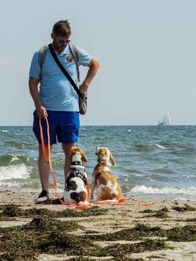 Dogorama Photo Challenge - Tierischer Urlaub-Beitrag-Bild