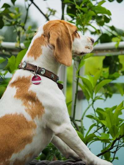 FOTOCHALLENGE 86-Beitrag-Bild