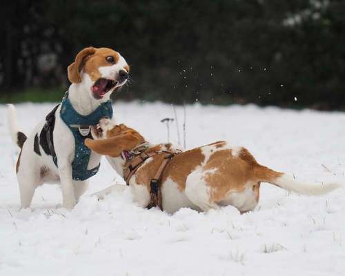 Challenge Nr. 15
Spiel im Schnee-Beitrag-Bild