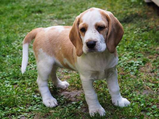 Fotochallange Nummer 5-Beitrag-Bild