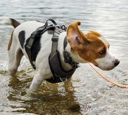 FOTOCHALLANGE NR.71 BADEFREUDE-Beitrag-Bild