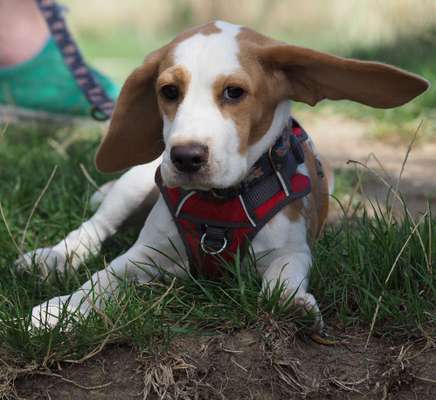 Fotochallange Nr. 6 Die irrsten Blicke-Beitrag-Bild