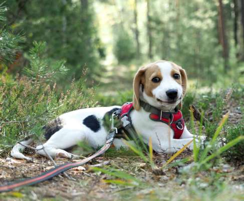 Foto Challenge Nr. 79-Beitrag-Bild