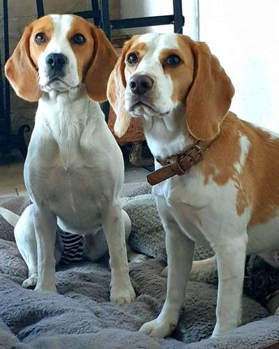 Lieblingsbild :D-Beitrag-Bild