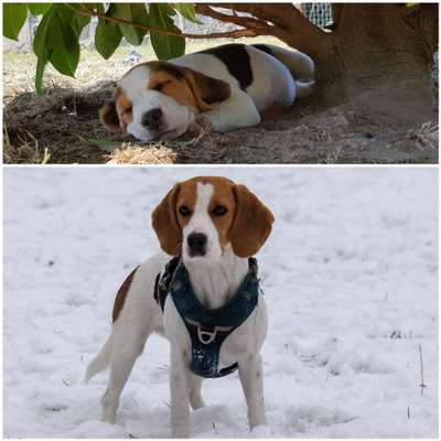 Vorher.... Nachher-Beitrag-Bild