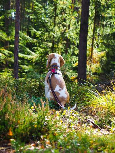 Foto Challenge Nr. 79-Beitrag-Bild