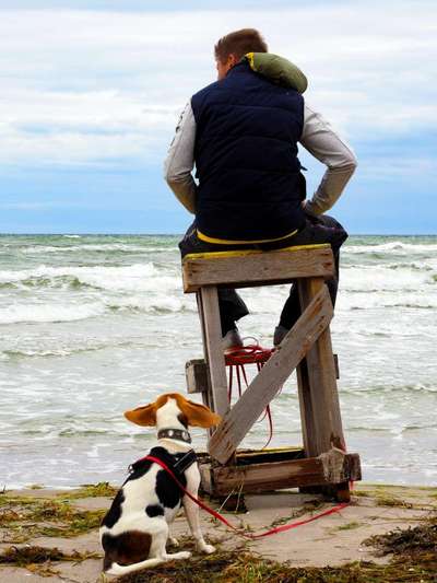 Die Dogorama Wochen Challenge: “Dein Hund im Urlaub”-Beitrag-Bild