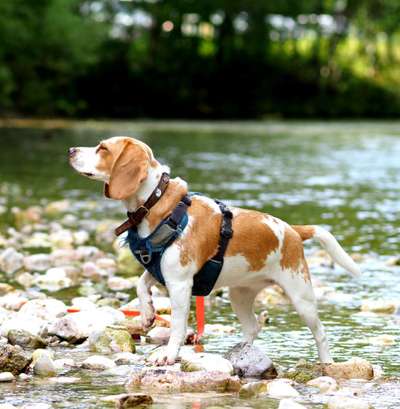 FOTOCHALLANGE NR.71 BADEFREUDE-Beitrag-Bild