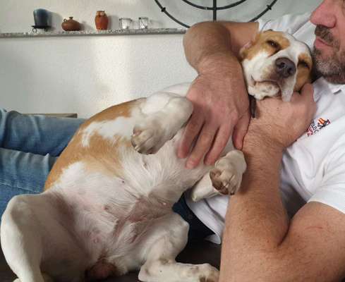 FOTOCHALLENGE NR.54-,,Liebesbeweis"-Beitrag-Bild