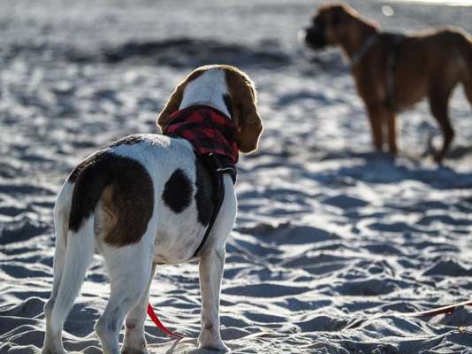 Fotochallenge Nr.100 Urlaubsimpressionen-Beitrag-Bild