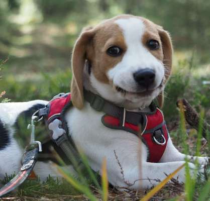 Fotochallenge Nr.122-Beitrag-Bild